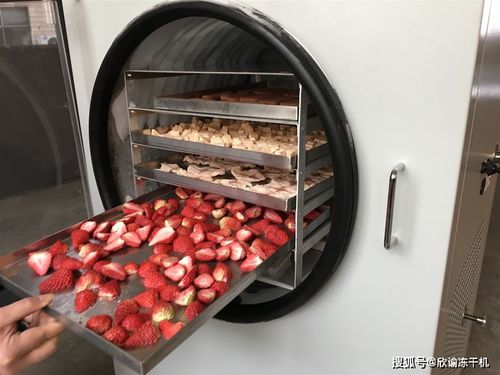 冷冻干燥技术在乳化油食品中的应用与前景